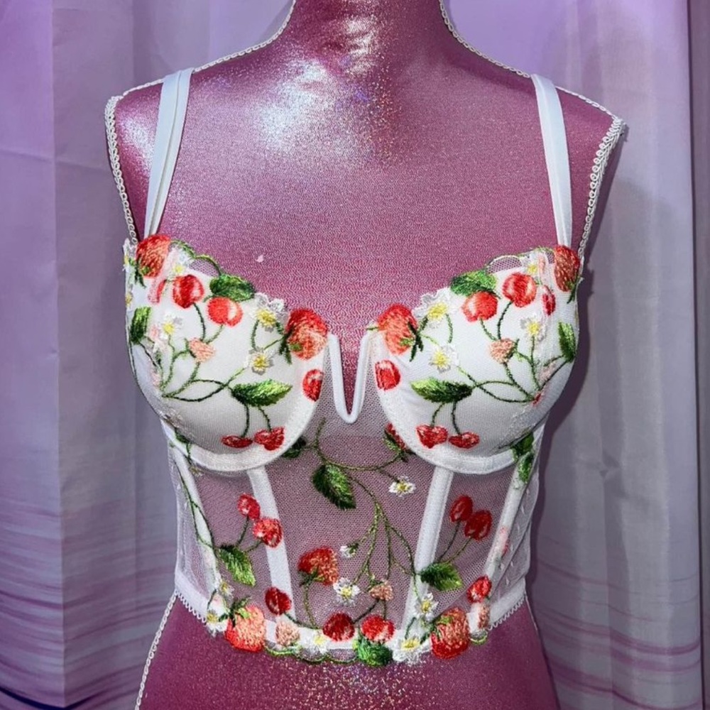 victoria’s secret cherry mesh corset